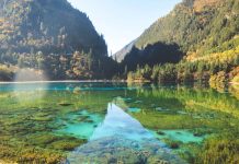 Where to Find Affordable Lodging in New York City